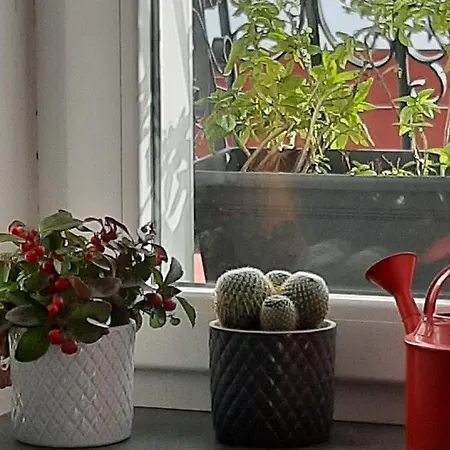 Le Cupole Appartement